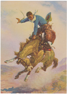 Ride 'im Cowboy
